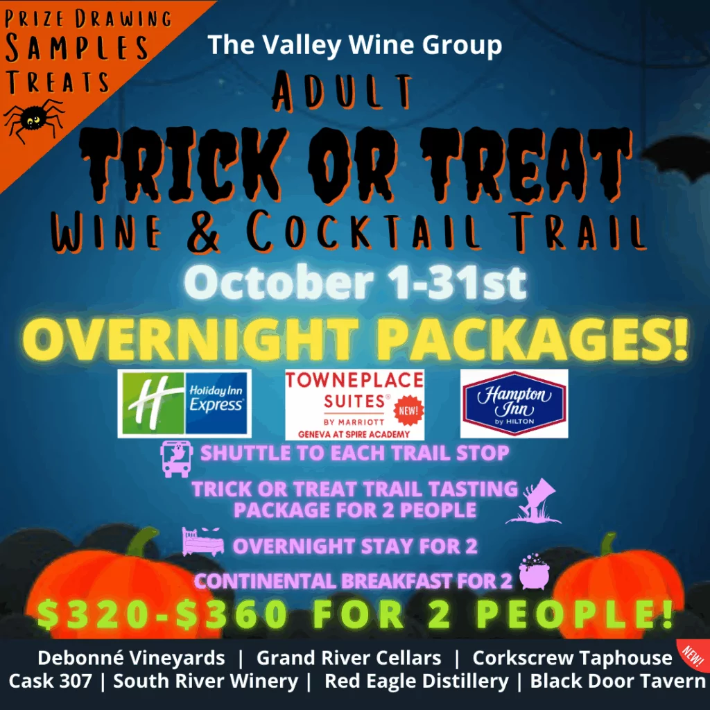 VWG Trick or Treat Packages (2)