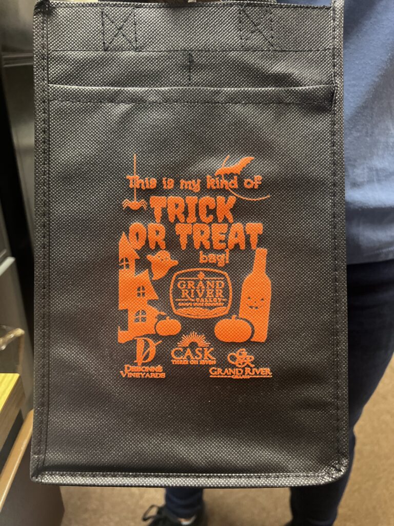 Trick or Treat Bag