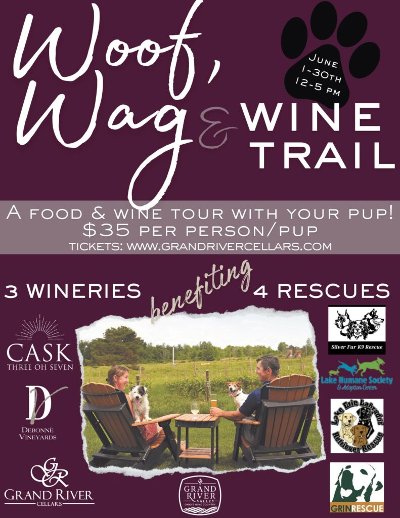 DV Cask 307 Woof Wag Wine Trail 8.5 x 11 in
